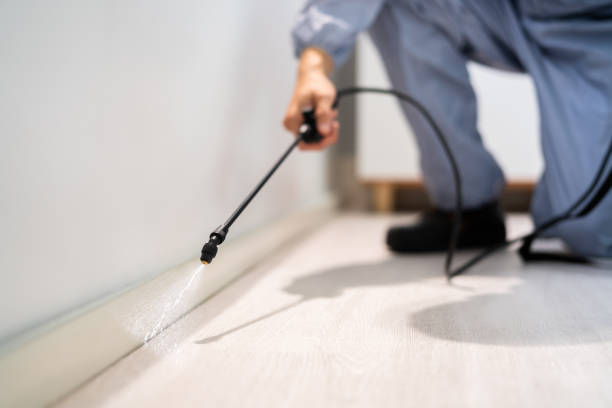 Licensed Termite Control service in Campbell County County, VA - Nex Pest Control