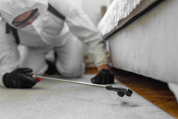 Professional Termite Control technician working in Campbell County County, VA